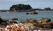 Tour Wandern Perros-Guirec - Perros-Guirec / Tregastel - Photo 3