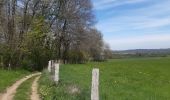 Randonnée Marche Theux - St Roch . Spixhe . Jevoumont . Hodbomont . vallee Wayot . Theux . St Roch - Photo 12