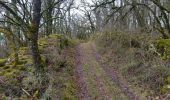 Tour Wandern Castelfranc - Castelfranc Tindout photos  - Photo 1