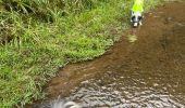 Percorso Equitazione Habay - Habay forêt d’Anlier - Photo 6