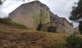 Tour Wandern Valliguières - valliguieres - Photo 20