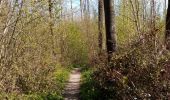 Tocht Noords wandelen Belœil - mielikki  - Photo 5