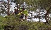 Tour Wandern La Couvertoirade - Larzac 2 - Photo 20