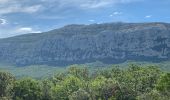 Excursión Senderismo Plan-d'Aups-Sainte-Baume - Sté beaume - Photo 5