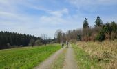 Tour Wandern Monschau - 2024-03-28_17h00m40_partnerweg-des-eifelsteigs-narzissenroute (1) - Photo 2