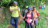 Trail Walking Le Lorrain - Mornes Capot / Lorrain Martinique - Photo 6