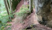Trail Walking Ernzen - Balade Ernzen Allemagne  - Photo 1