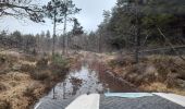 Tocht 4x4 Fénols - Vabre Anglés Parc du haut Languedoc - Photo 1