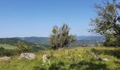 Trail Walking Septmoncel les Molunes - Septmoncel - Le sentier des chamois  - Photo 3