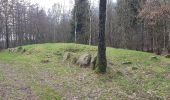 Tour Zu Fuß Unknown - Den nordlige vandretur i Lindet Skov - Photo 9