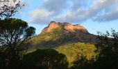 Randonnée Marche Roquebrune-sur-Argens - Roquebrune - Les Campons - Photo 4