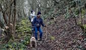 Excursión Senderismo Marche-en-Famenne - marche- fonds des vaux-marche - Photo 3