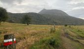 Randonnée Marche Orcival - GR 441 boucle de La chaîne des puys  - Photo 13