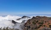 Excursión Senderismo Garafía - La Palma 5 : GR131- Roque de Los Muchachos - Pic de la Nieve - Photo 14
