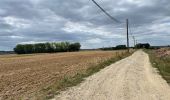 Trail Walking Boussois - Boussois 15 km - Photo 7