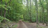 Randonnée Marche Liège - montee par stvlaurent descente par st jacque Streupas.  variante tout bois  - Photo 7