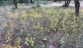 Tocht Stappen Charleval - PF-Charleval - Les Costes - Bois des Taillades - Cuou de Peyrou - Photo 2