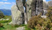 Tocht Stappen Luttenbach-près-Munster - Autour du Petit Ballon et ses fermes auberges - Photo 19