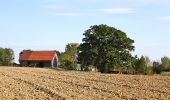 Excursión A pie Rainbach im Innkreis - Brunnenthal Rundwanderweg - Photo 6