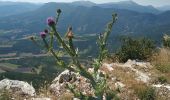 Trail Walking Rimon-et-Savel - Rimon-et-Savel CKCC - Photo 16