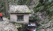 Randonnée Marche Urmatt - Lutzelhouse Rosinen Fels , cascade,séquoia  - Photo 8