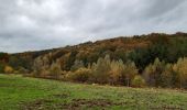 Trail Walking Aywaille - autour du Monde Sauvage  -  goulag pour animaux  - Photo 4