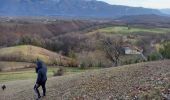 Excursión Senderismo Varacieux - Le Molard d'Essemat- Varacieux - Photo 5