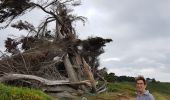 Tocht Stappen Saint-Gildas-de-Rhuys - St Gildas J1 - Photo 1