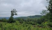 Tocht Stappen Vresse-sur-Semois - rando vresse sur semois 2-06-2024 - Photo 6