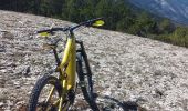 Tocht Mountainbike Bédoin - Frache, crête de la Tune et Ventouret - Photo 1