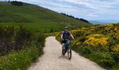 Tocht Mountainbike Pont de Montvert - Sud Mont Lozère - la Brousse /Station du Mont Lozère - Photo 7