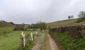 Tocht Stappen Theux - franchimont . s'assoir . chinru . saserotte . franchimont - Photo 10