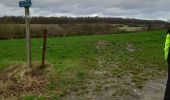 Tour Wandern Ferrières - balade des petits lapins - Photo 4