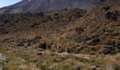 Tocht Te voet Unknown - Te Araroa - 04 Whanganui - a Tongariro Alpine Crossing - Photo 4