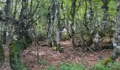 Trail Walking Saint-Pierre-la-Bourlhonne - Col du Beal  - Photo 7