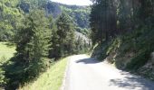 Randonnée Marche Châtillon-en-Diois - La Montagnette par le Pas de la Plane (Combau) - Photo 5