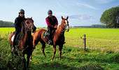 Trail Equestrian Lessines - Loop of Ruisseau d’Ancre - Photo 4