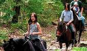 Trail Equestrian Lessines - Loop of Ruisseau d’Ancre - Photo 3