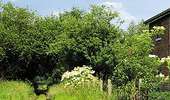 Trail On foot Mont-de-l'Enclus - Entre Flandre et Wallonie - Photo 2