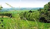 Trail On foot Mont-de-l'Enclus - Entre Flandre et Wallonie - Photo 1