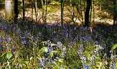 Trail On foot Mont-de-l'Enclus - Entre Orroir et Ruien - Photo 4