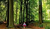Trail On foot Mont-de-l'Enclus - Entre Orroir et Ruien - Photo 3
