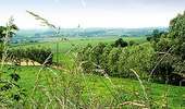 Trail On foot Mont-de-l'Enclus - Entre Orroir et Ruien - Photo 2