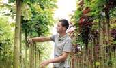 Trail On foot Brunehaut - A tour of the plant and tree nurseries at Lesdain - Photo 6