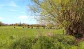 Trail On foot Rumes - Pays des Mâchons circuit - Photo 5