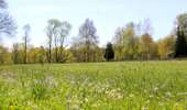 Trail On foot Rumes - Pays des Mâchons circuit - Photo 4