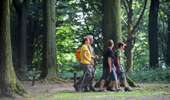 Trail On foot Mont-de-l'Enclus - The legend of Liedericq - Photo 13