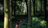 Trail On foot Mont-de-l'Enclus - The legend of Liedericq - Photo 12