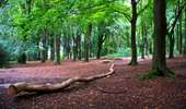 Trail On foot Mont-de-l'Enclus - The legend of Liedericq - Photo 8