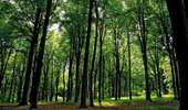 Trail On foot Mont-de-l'Enclus - The legend of Liedericq - Photo 6
